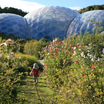A young child walking through the outdoor gardens with the biomes straight ahead
